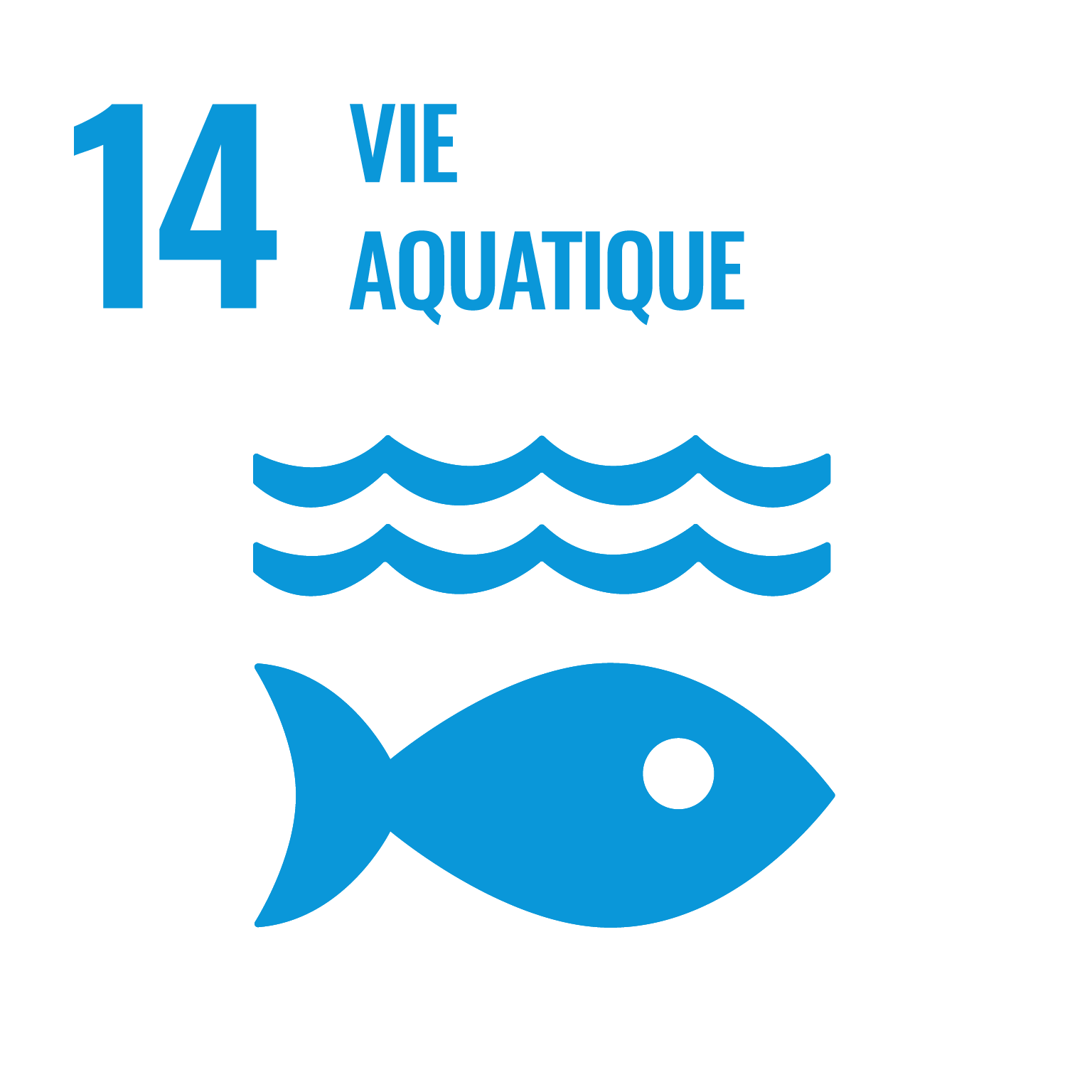 OBJECTIF 14 : VIE AQUATIQUE