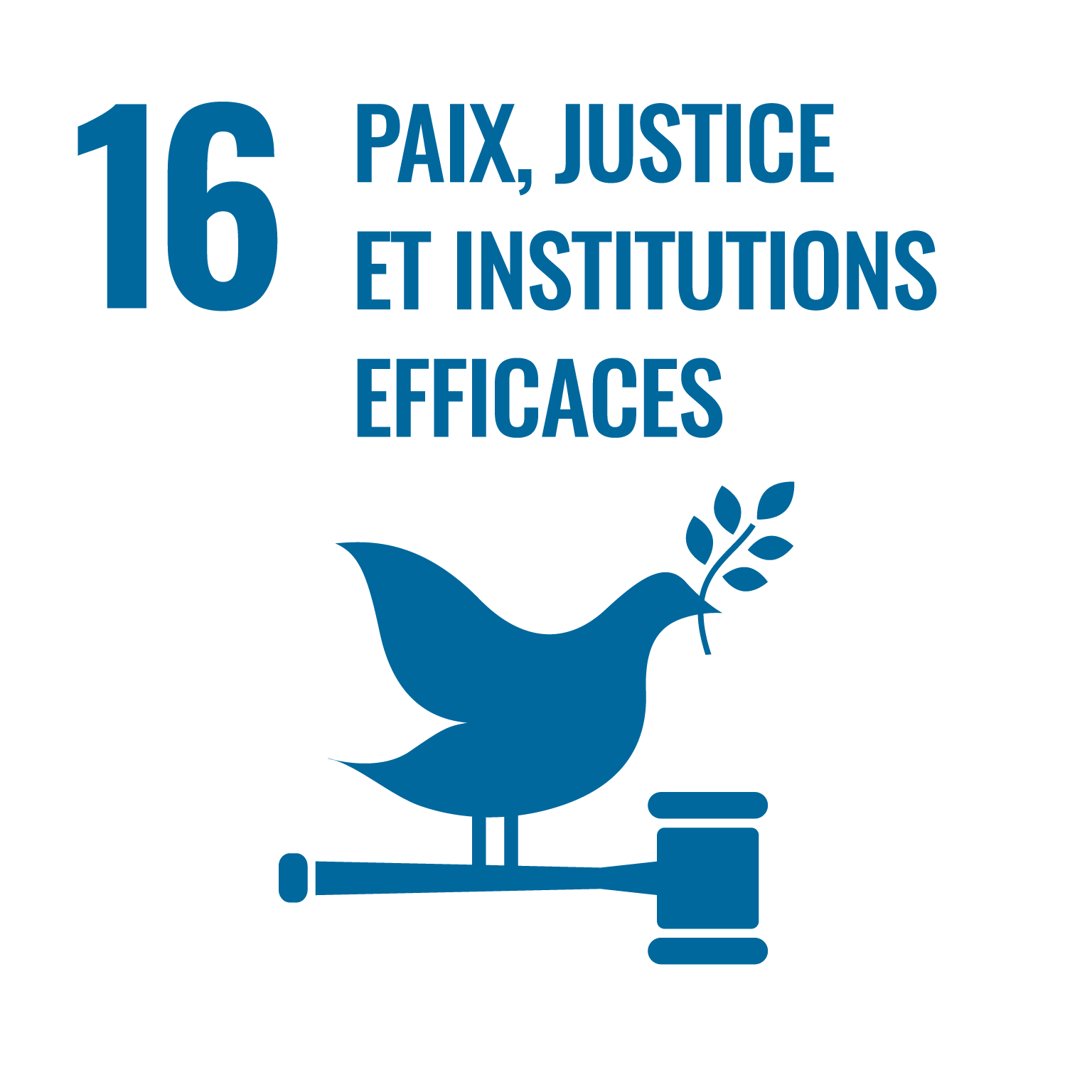OBJECTIF 16 : PAIX, JUSTICE ET INSTITUTIONS EFFICACES