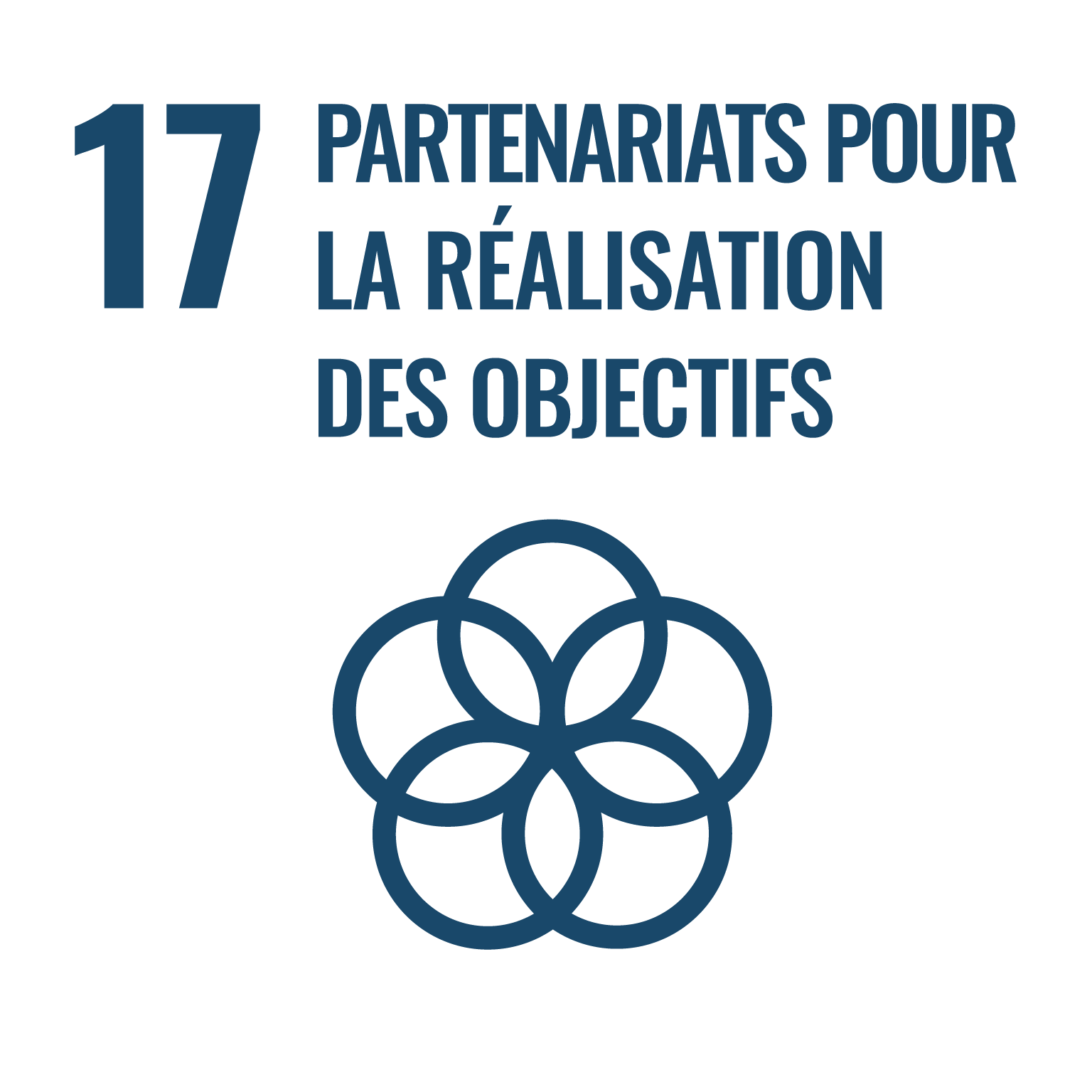 OBJECTIF 17 : PARTENARIATS POUR LA RÉALISATION DES OBJECTIFS